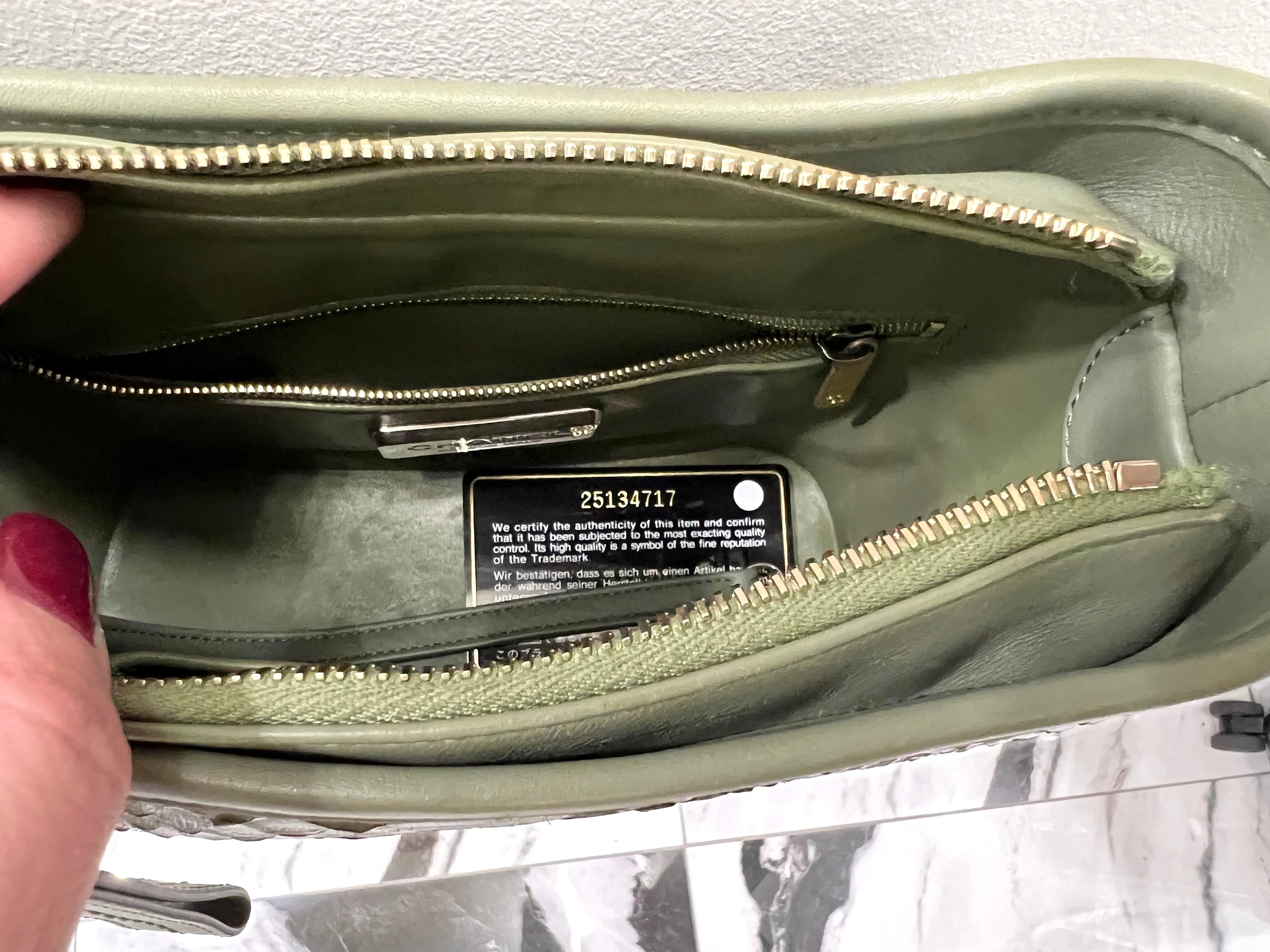 CHANEL CC PYTHON GABRIELLE HOBO BAG