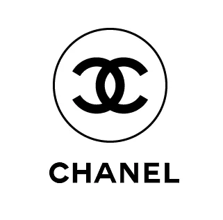 CHANEL CC PYTHON GABRIELLE HOBO BAG