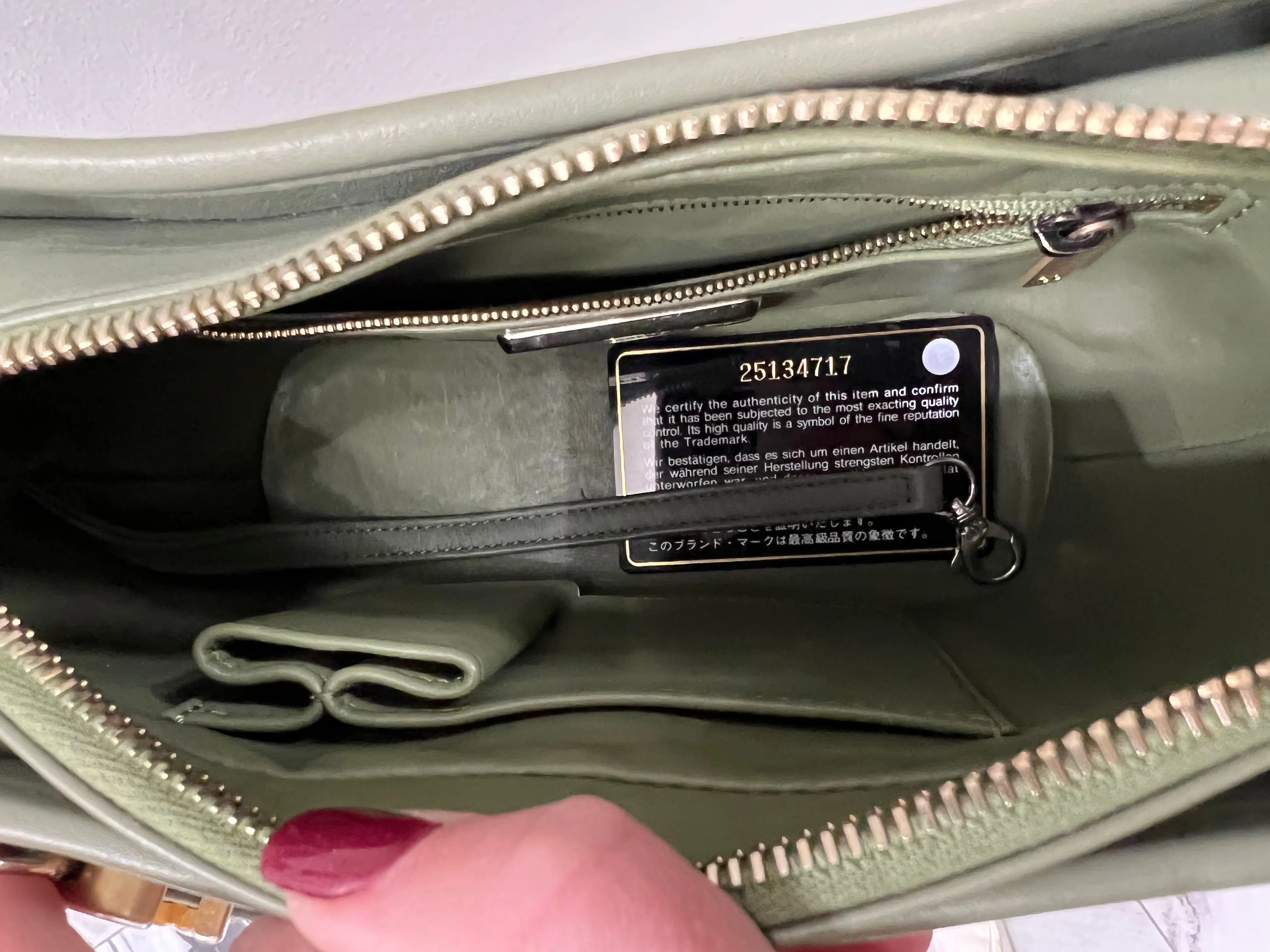 CHANEL CC PYTHON GABRIELLE HOBO BAG