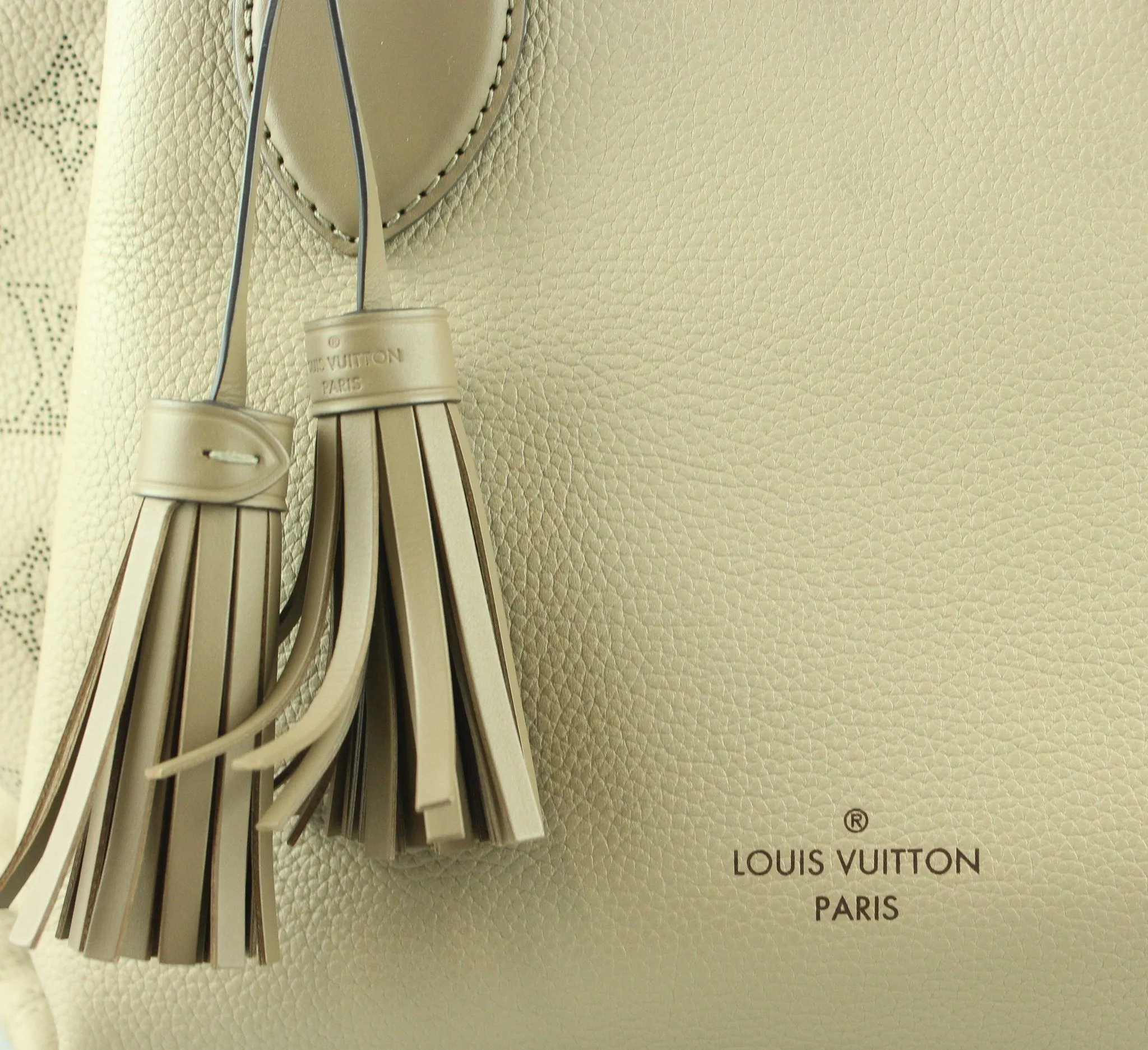 Louis Vuitton Haumea Tote In Galet AH4198