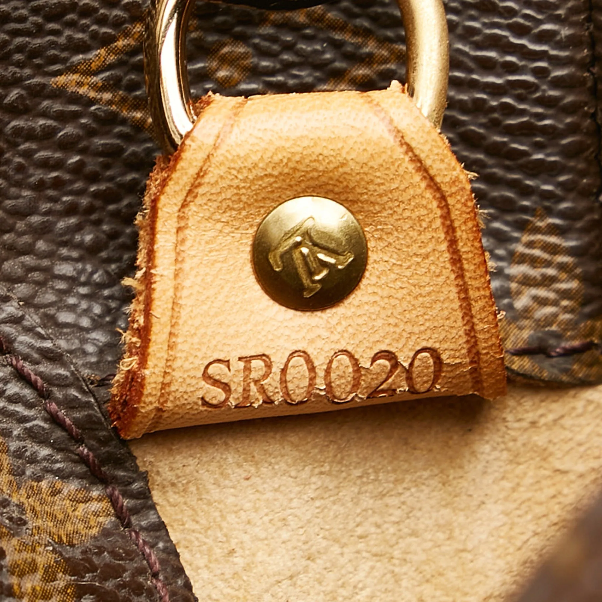Louis Vuitton Monogram Luco Tote Bag